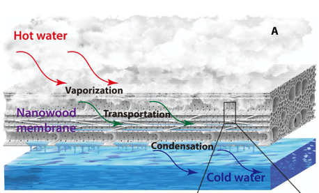 "Hydrophobic nanostructured wood membrane for thermally efficient distillation", "Science advances", "University of Boulder Colorado", "Paul M. Rady Department of Mechanical Engineering"